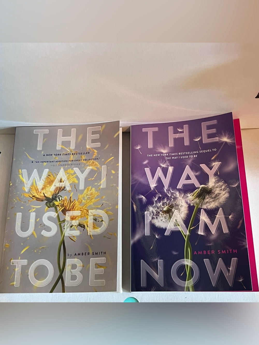 The Way I Used to Be & The Way I Am Now (2-Book Series Set) by Amber Smith